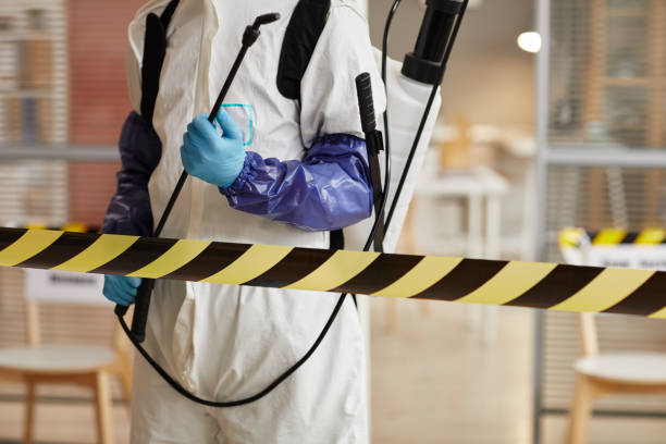 Professional Sewage Cleanup technician working in Mountain Lakes, NJ